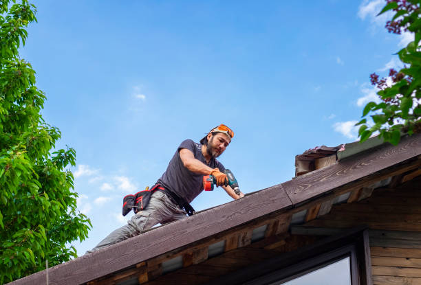 Best Roof Insulation Installation  in Parkway, CA